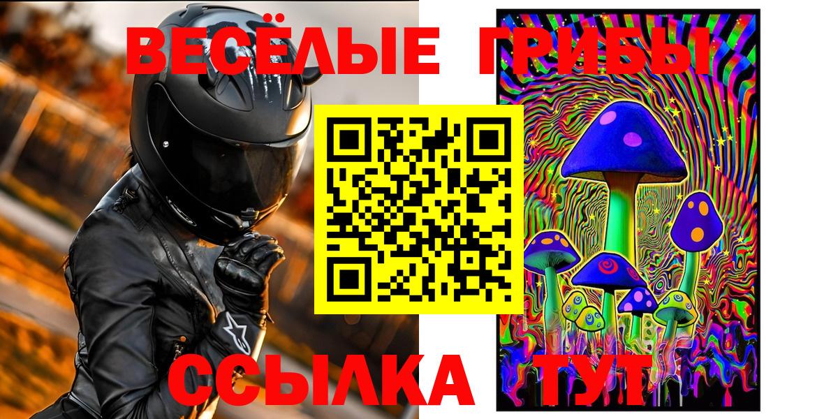 Псилоцибиновые грибы Psilocybine cubensis Мытищи