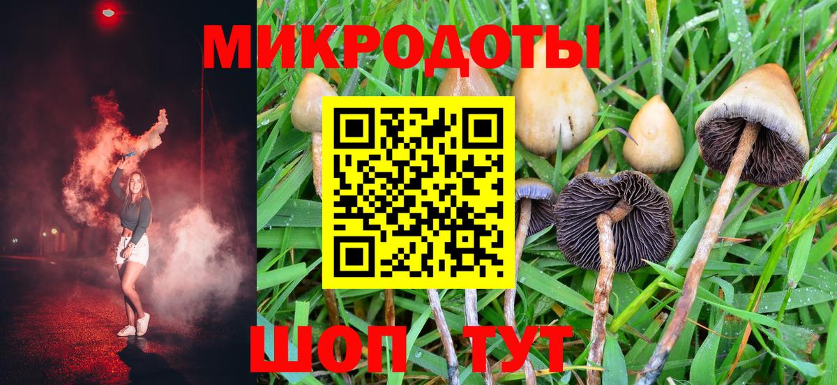 Псилоцибиновые грибы GOLDEN TEACHER  Вход с VPN  Галлюциногенные грибы мицелий  Мытищи 